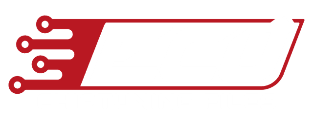 ECU CHIP Logo